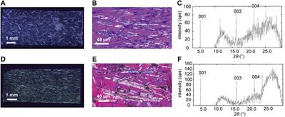 Light-Driven Crystal–Polymer Hybrid Actuators